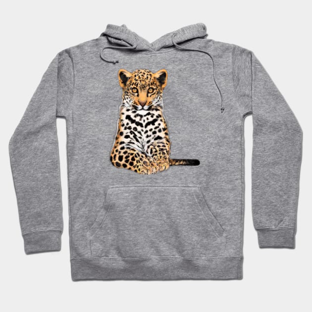 Cute Leopard Drawing Hoodie by Play Zoo